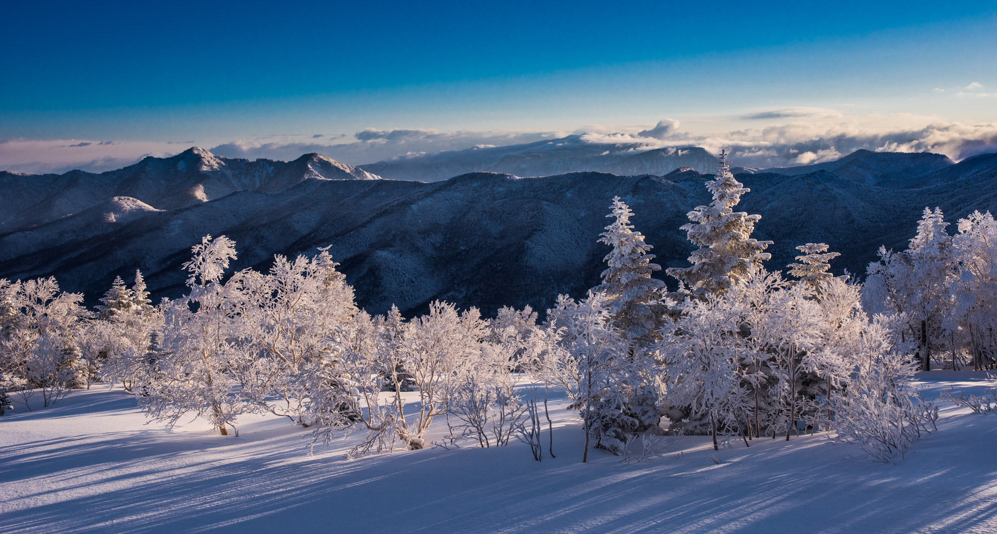 Okushiga Kogen Hotel Jamanouči Exteriér fotografie